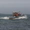 Oil spills into Galveston Bay after ships collide