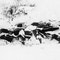 Researchers dig for remains at site of 1922 union massacre in Illinois