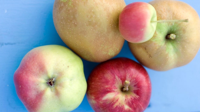 Antique Apples