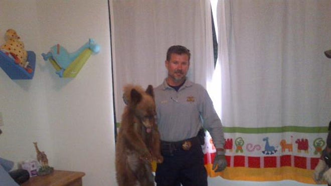 bearcubcaught.JPG