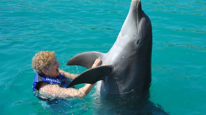 dolphindancing_EvelynKanterXcaretMayaRiviera.jpg