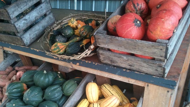 farm_vegetables2.jpg