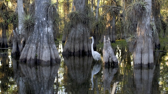 greategret.jpg