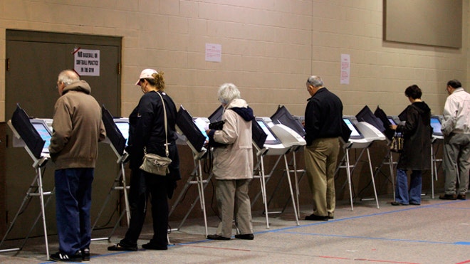 Midterm Election Voters