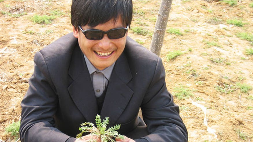 Chen-Guangchen.jpg