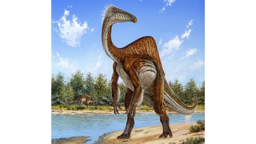 Odd Dinosaur_Cham640360102314.jpg