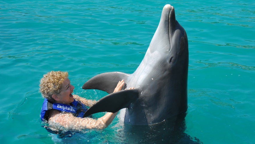 dolphindancing_EvelynKanterXcaretMayaRiviera.jpg