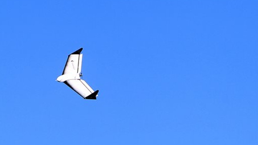 dronesearch.jpg