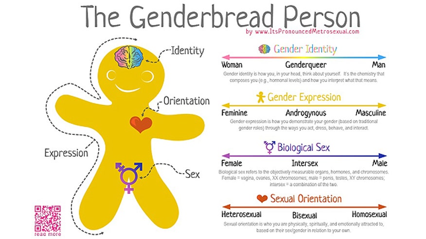 genderbread chart.jpg
