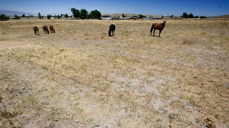 heatwaveupdateap.jpg