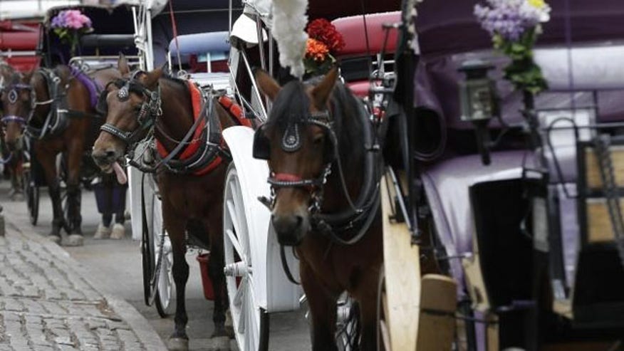 horse-carriage-politics640.jpg