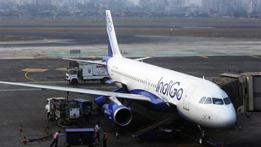 indigo34543534434.jpg