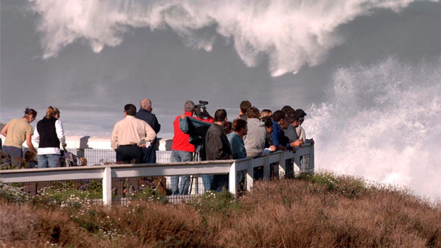 sandiegocove12.jpg