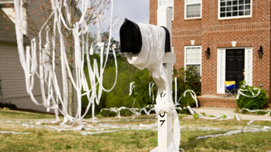 Home with toilet paper 640