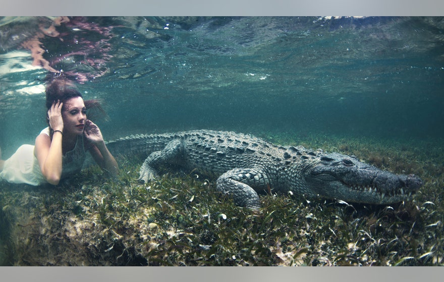 Image result for Models swim with crocodiles for photoshoot underwater in Mexico .