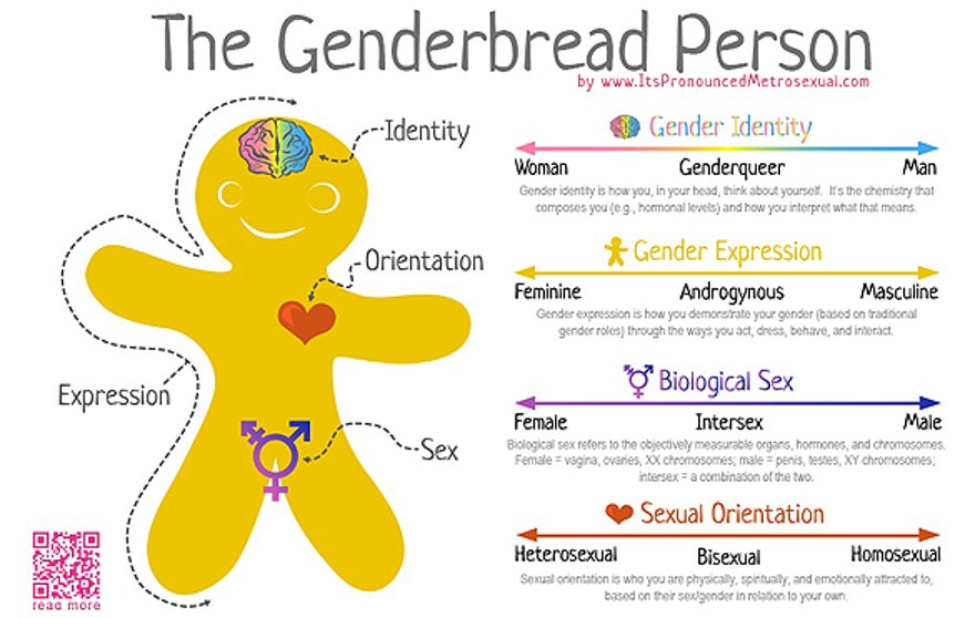 genderbread chart.jpg