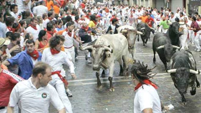 0_21_070707_bulls.jpg