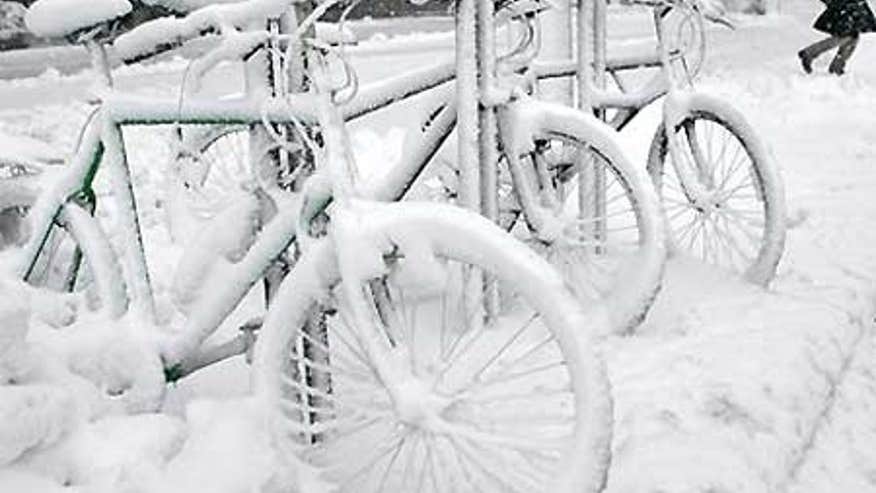0_21_011408_NESnow.jpg