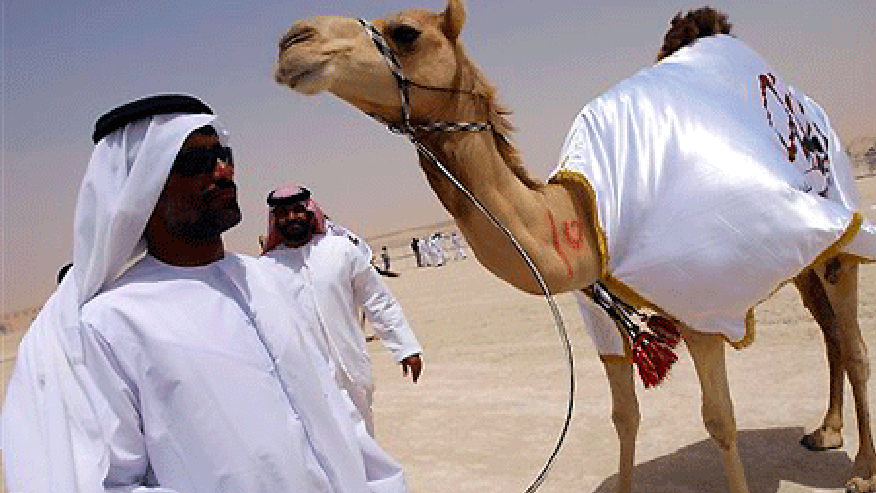 0_21_040308_camel.gif