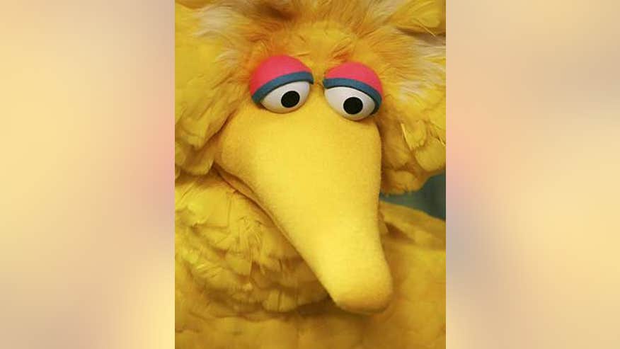 0_21_061608_bigbird1.jpg