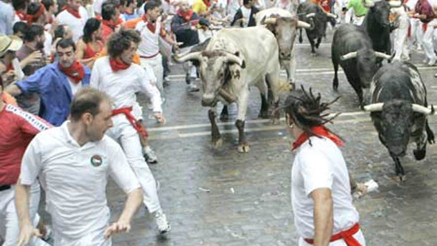 0_21_070707_bulls.jpg