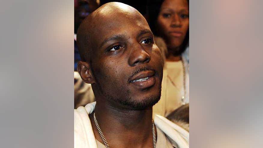 0_21_dmx.jpg