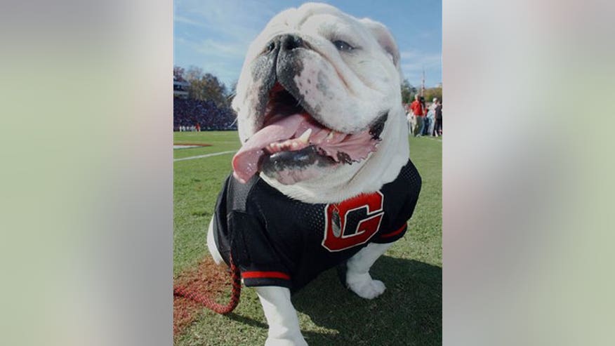 0_21_uga_350.jpg