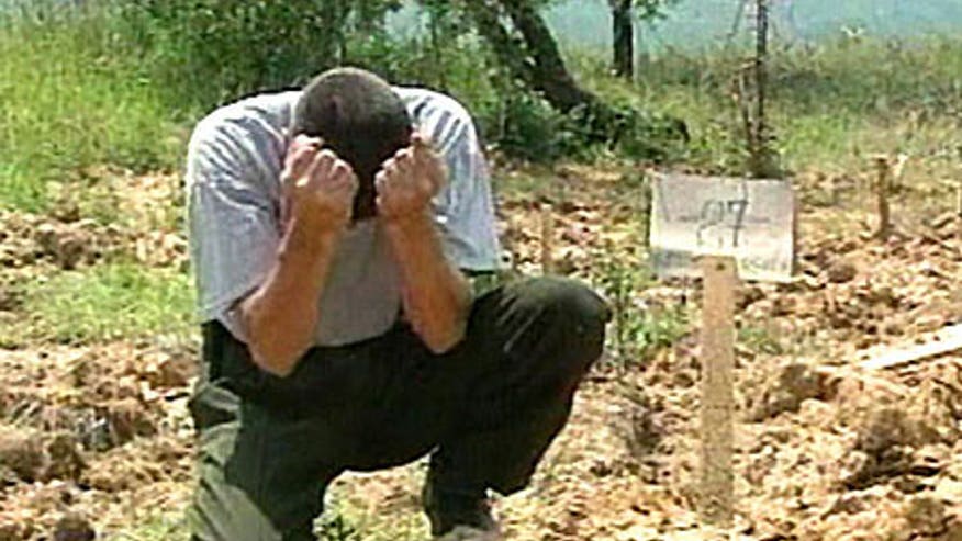0_23_450_kosovo.jpg