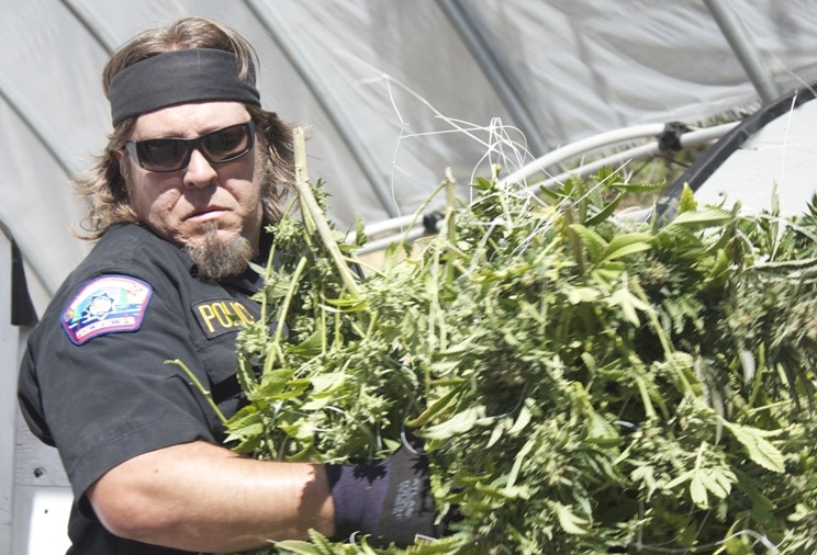 Exclusive: New Discovery Channel series ‘Pot Cops’ chronicles marijuana crackdown