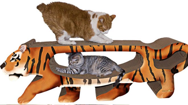 Cat1.jpg