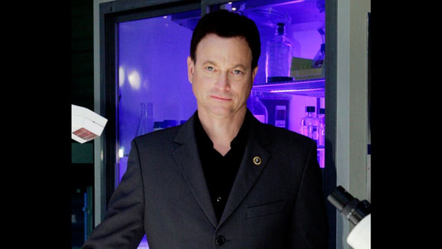 Gary Sinise 640