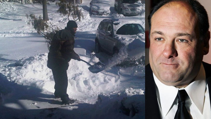 SnowCelebs.jpg