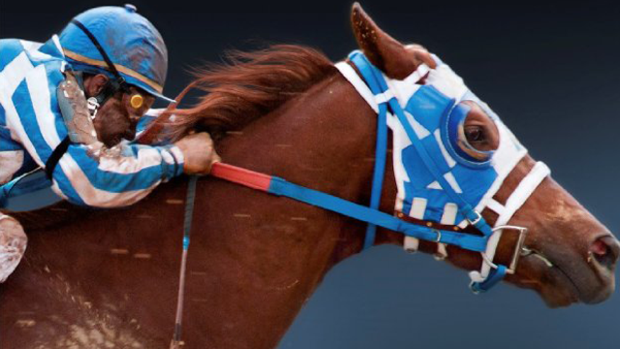 secretariat 640 2