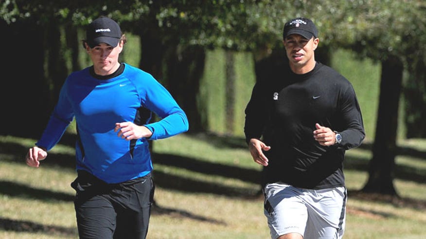 tiger runs 640