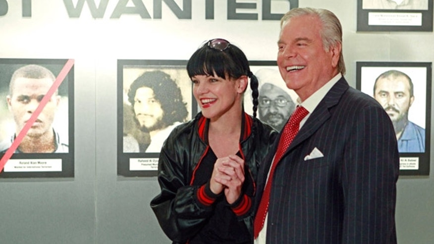 wagner_ncis_cbs