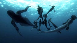 Forget Shark Week, it’s time for Monster Week