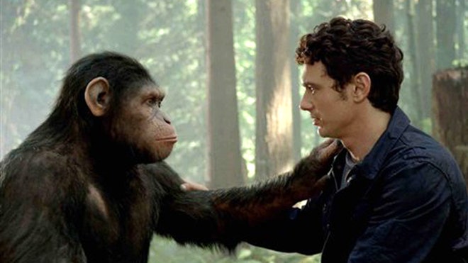 apes