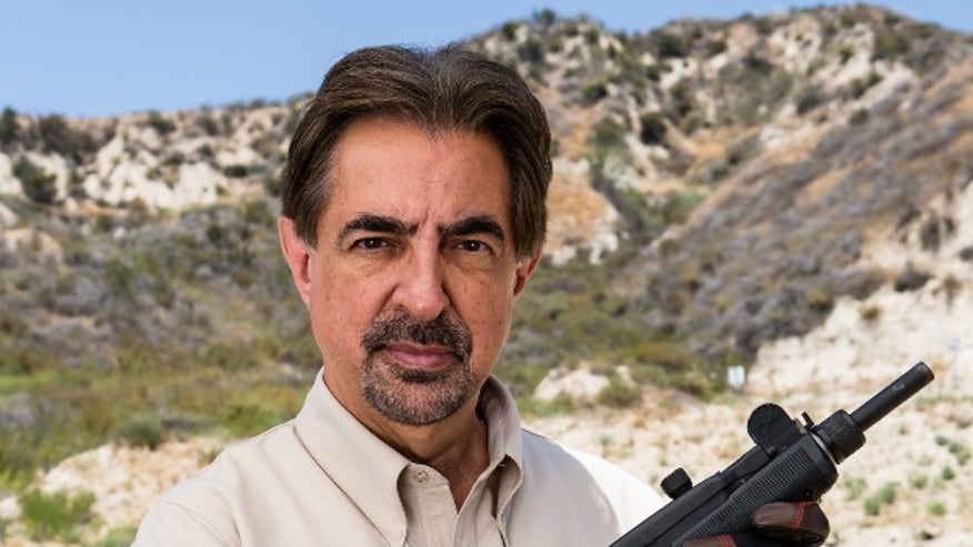 joe mantegna defends the second amendment