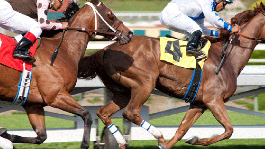 luck horses 640