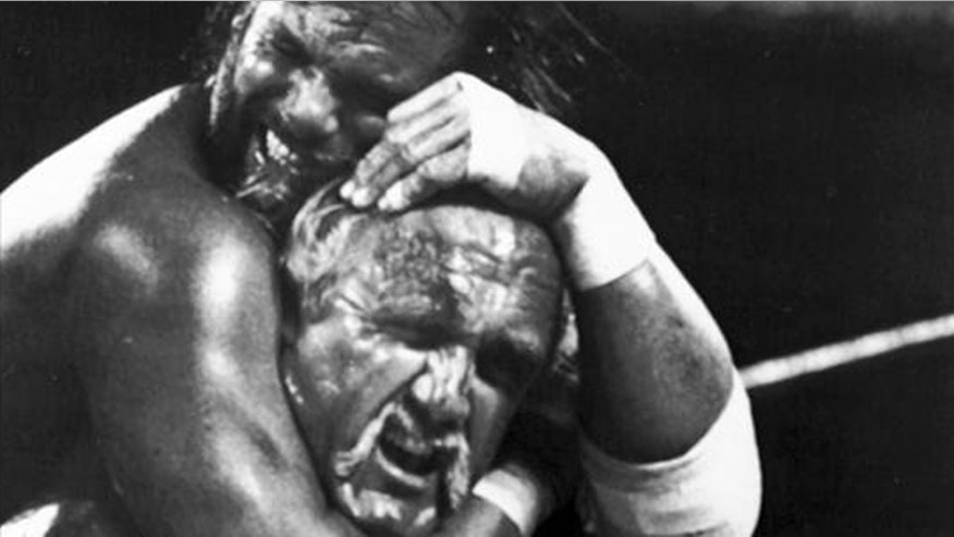 randy savage hulk hogan 660 ap.jpg