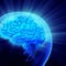 Teen brains really are wired