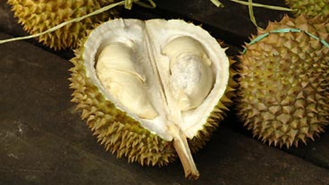 Durian