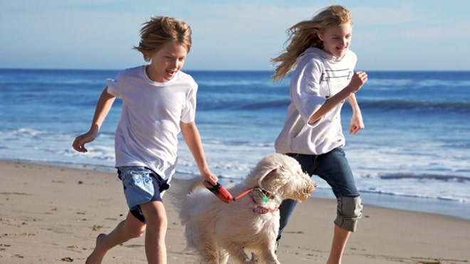 KidsDog