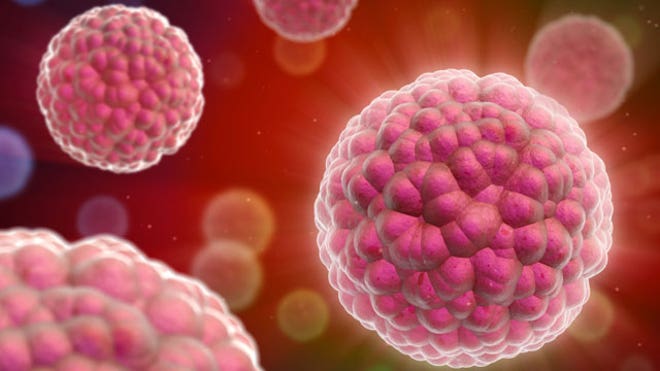 Cancer Cells
