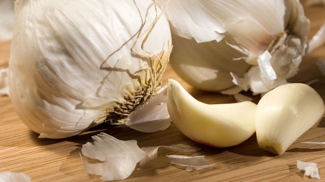 Garlic