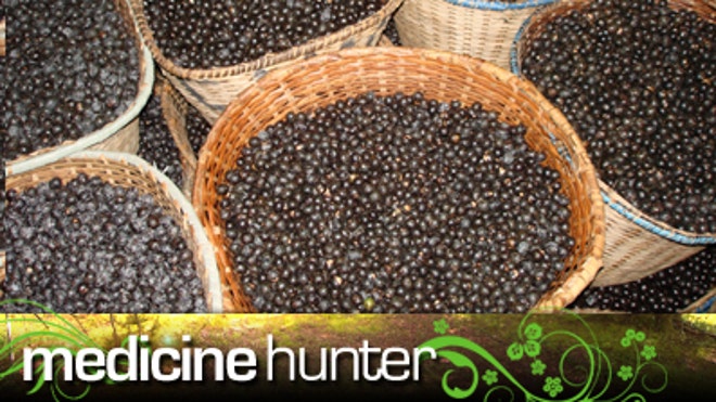 acai_397_banner.jpg