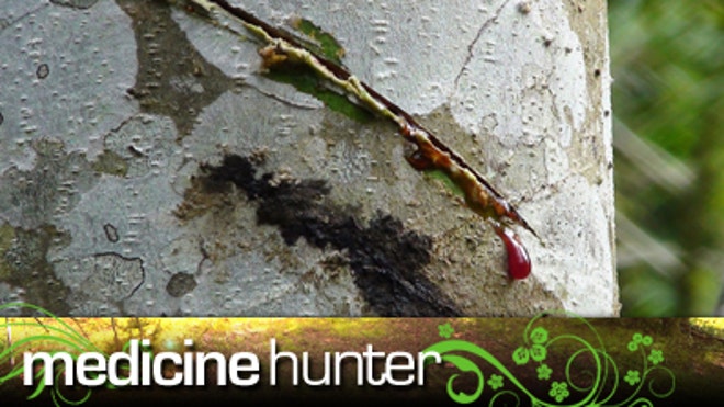 dragon_blood_banner.jpg