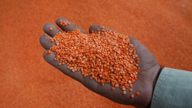 lentils