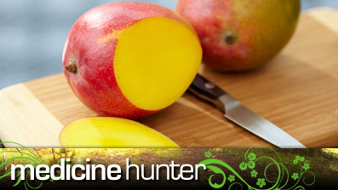 med_hunter_mango.jpg