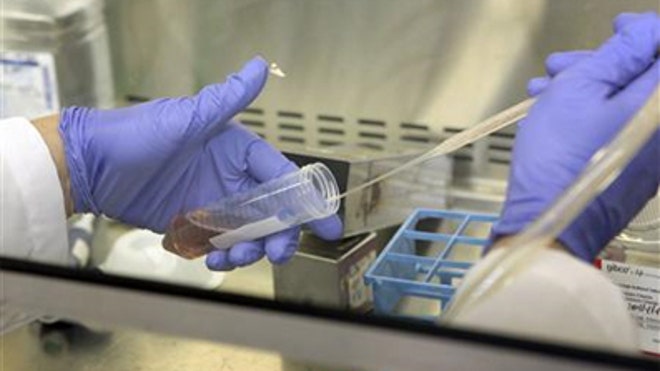 stem_cell_tubes.jpg